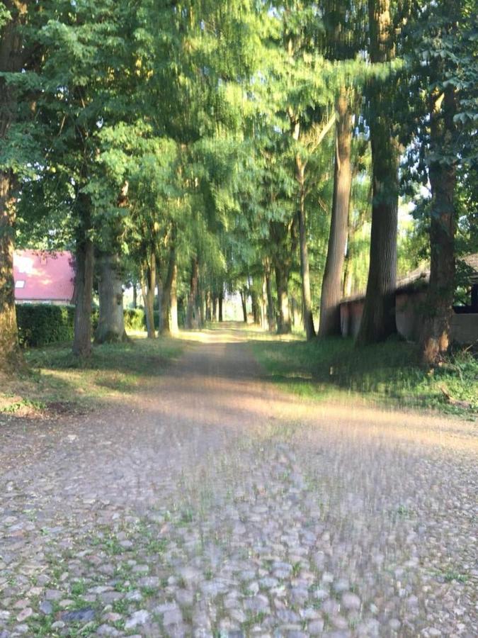 Villa Bequemschlafen Heidenau  Exterior foto